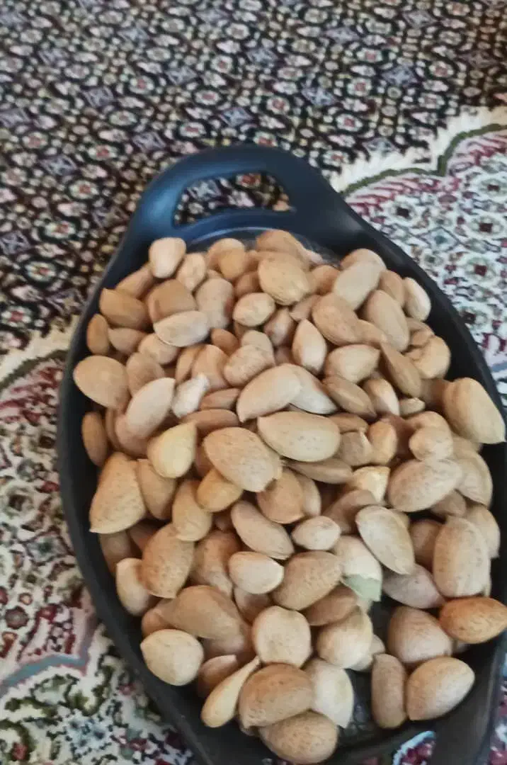 بادام محلی|خوردنی و آشامیدنی|شیراز, شهرک سعدی|دیوار