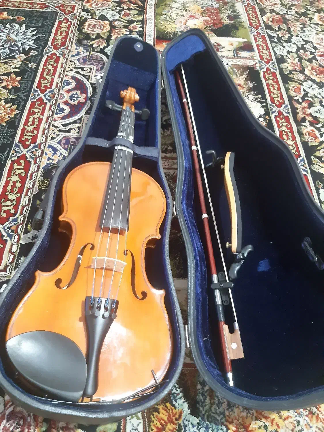 ویولن|ویولن|صباشهر, |دیوار