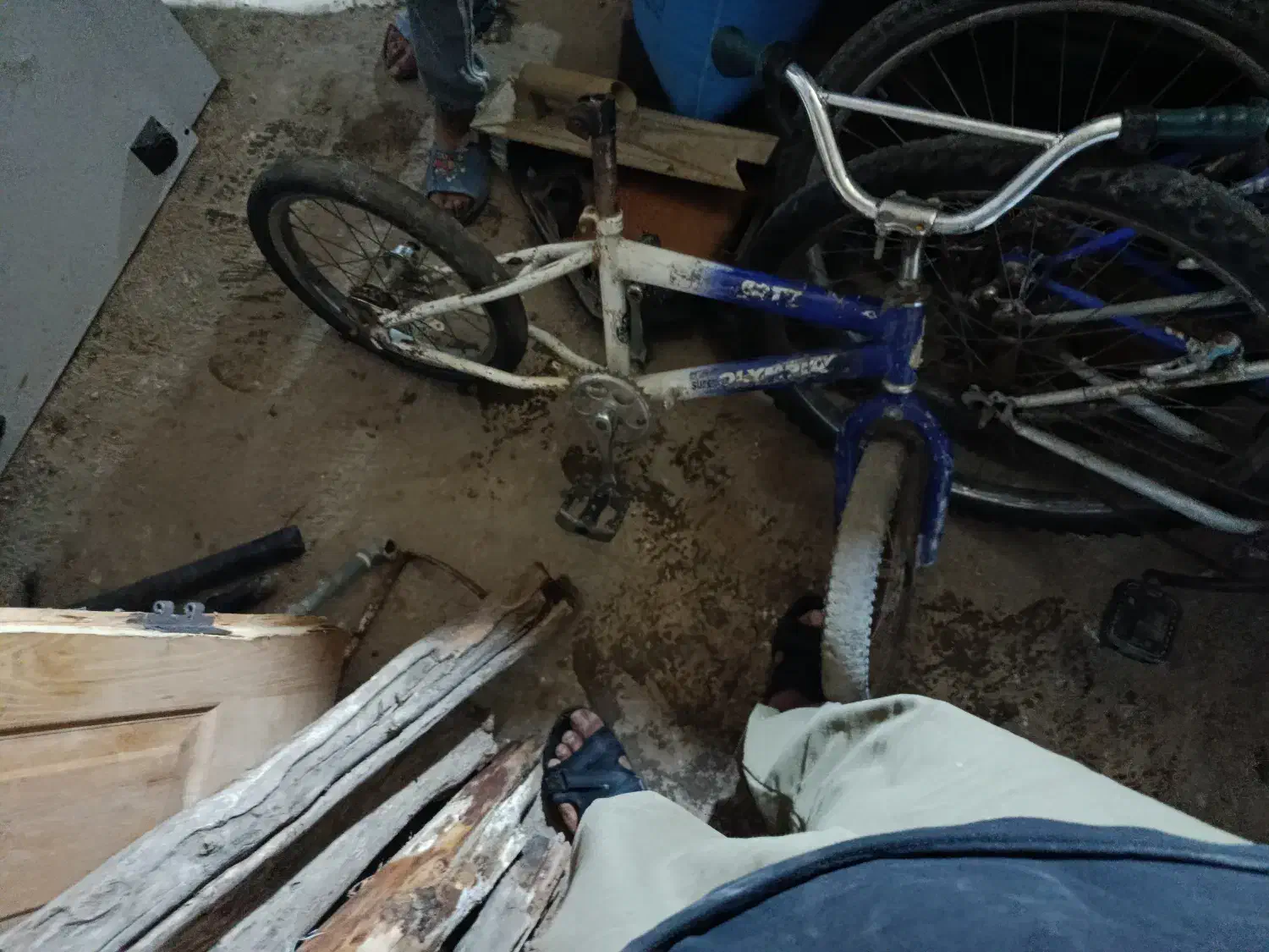 دوچرخه 26|دوچرخه، اسکیت، اسکوتر|گالیکش, |دیوار