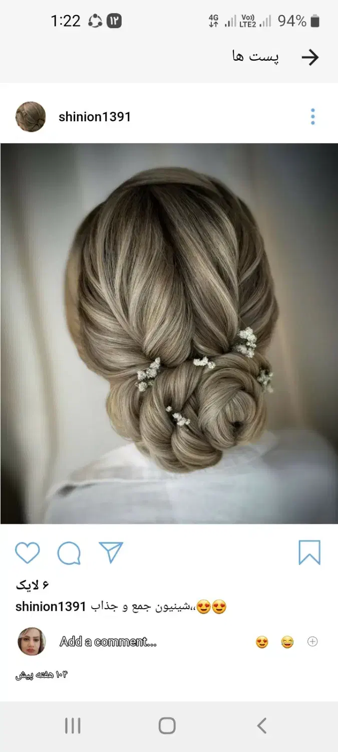 مدل شنیون|خدمات آرایشگری و زیبایی|شاهرود, |دیوار