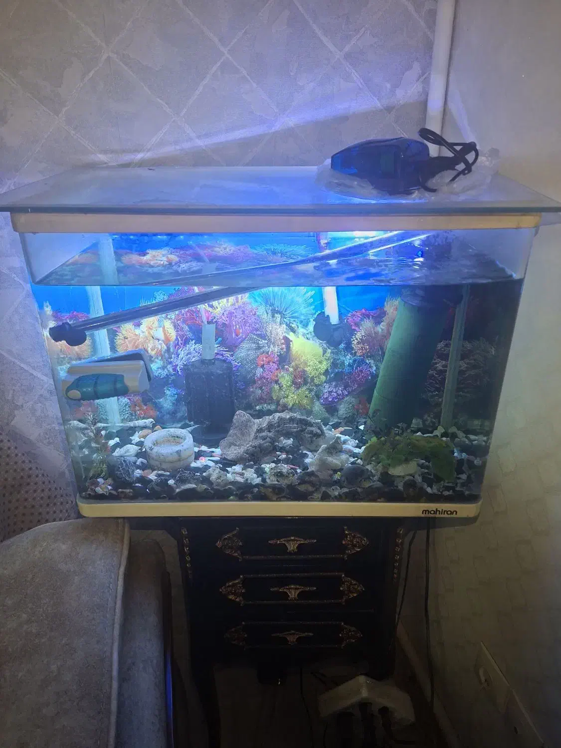 آکواریوم ماهیران|ماهی|محمدشهر, یزدیها|دیوار