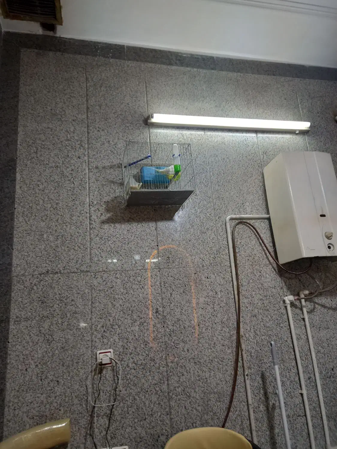 مرغ عشق دمه تخم|پرنده|ری, شهرک نظامی|دیوار