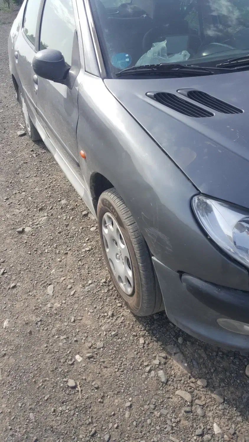 گم شده سویش ۲۰۶|اشیا|گلبهار, نوبهار|دیوار