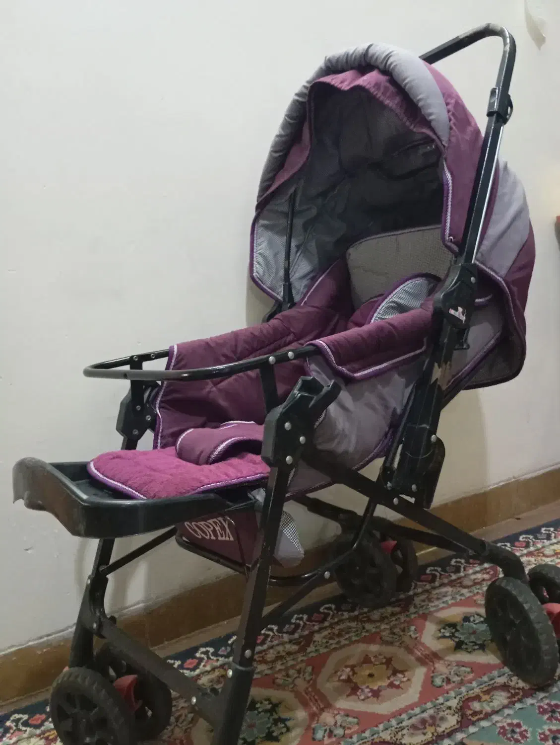 گالسکه|کالسکه و لوازم جانبی|شیراز, پودنک|دیوار