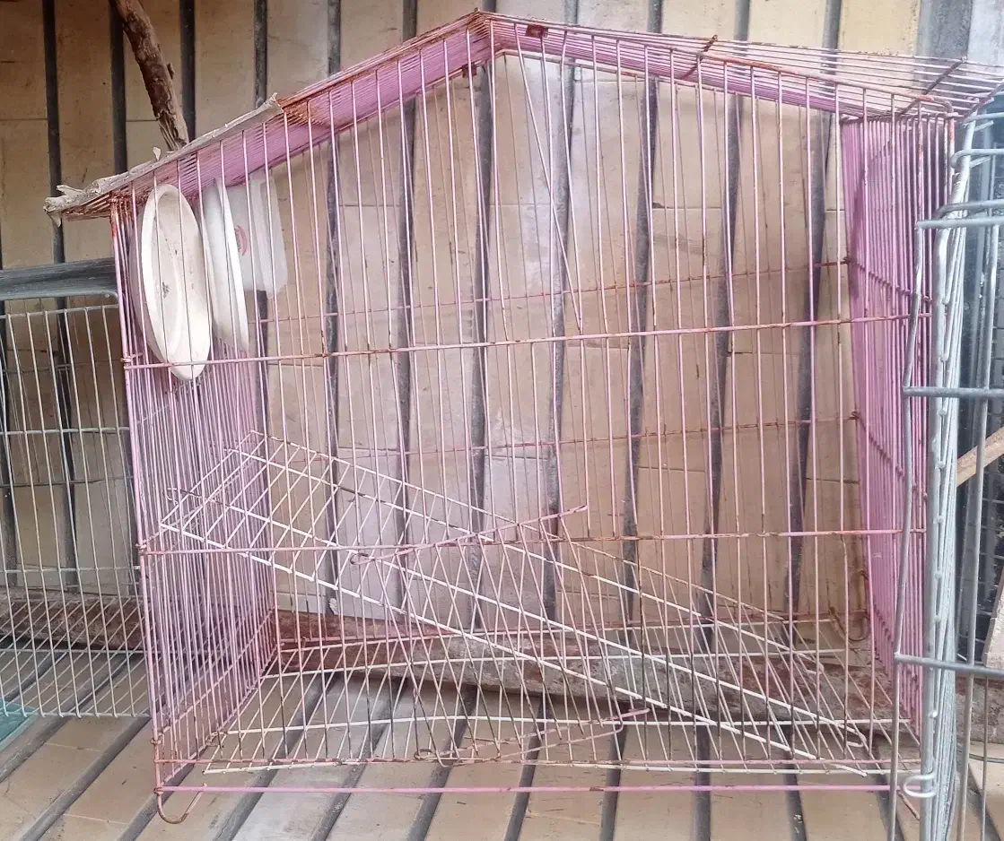 لوازم جانبی پرنده|لوازم جانبی حیوانات|فولادشهر, بوستان خلیج فارس|دیوار