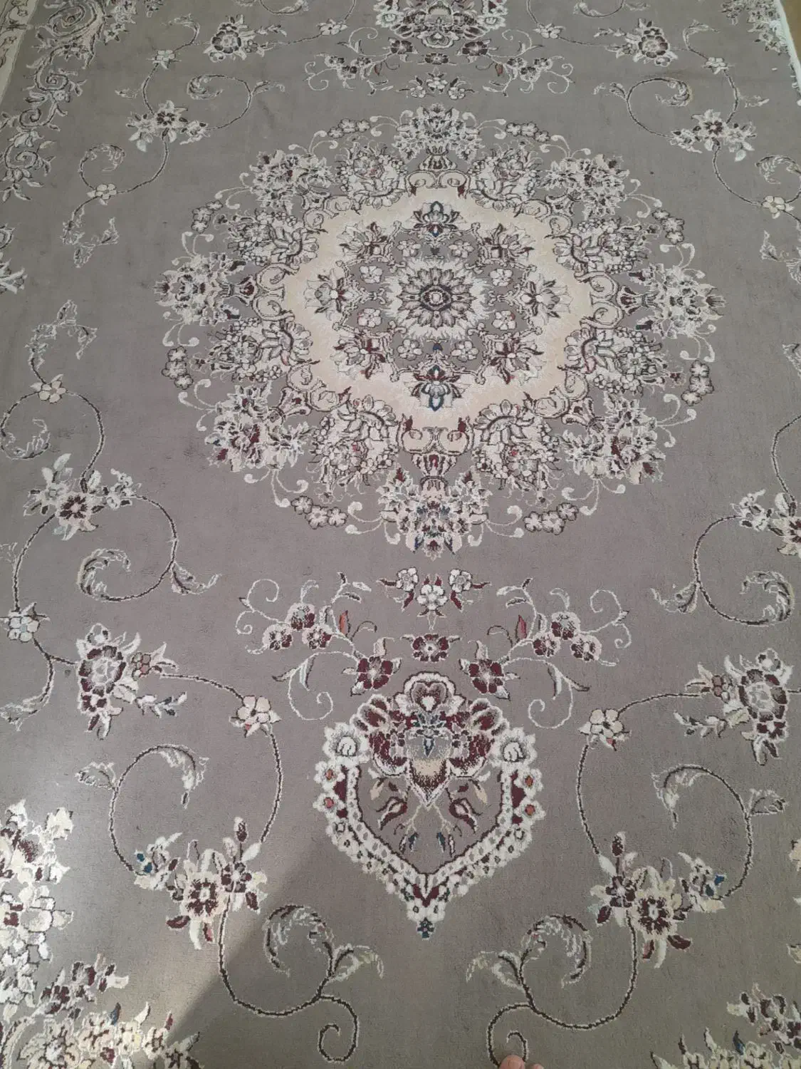 قالی|فرش|تربتحیدریه, کوی شهید احمدزاده ملکی|دیوار