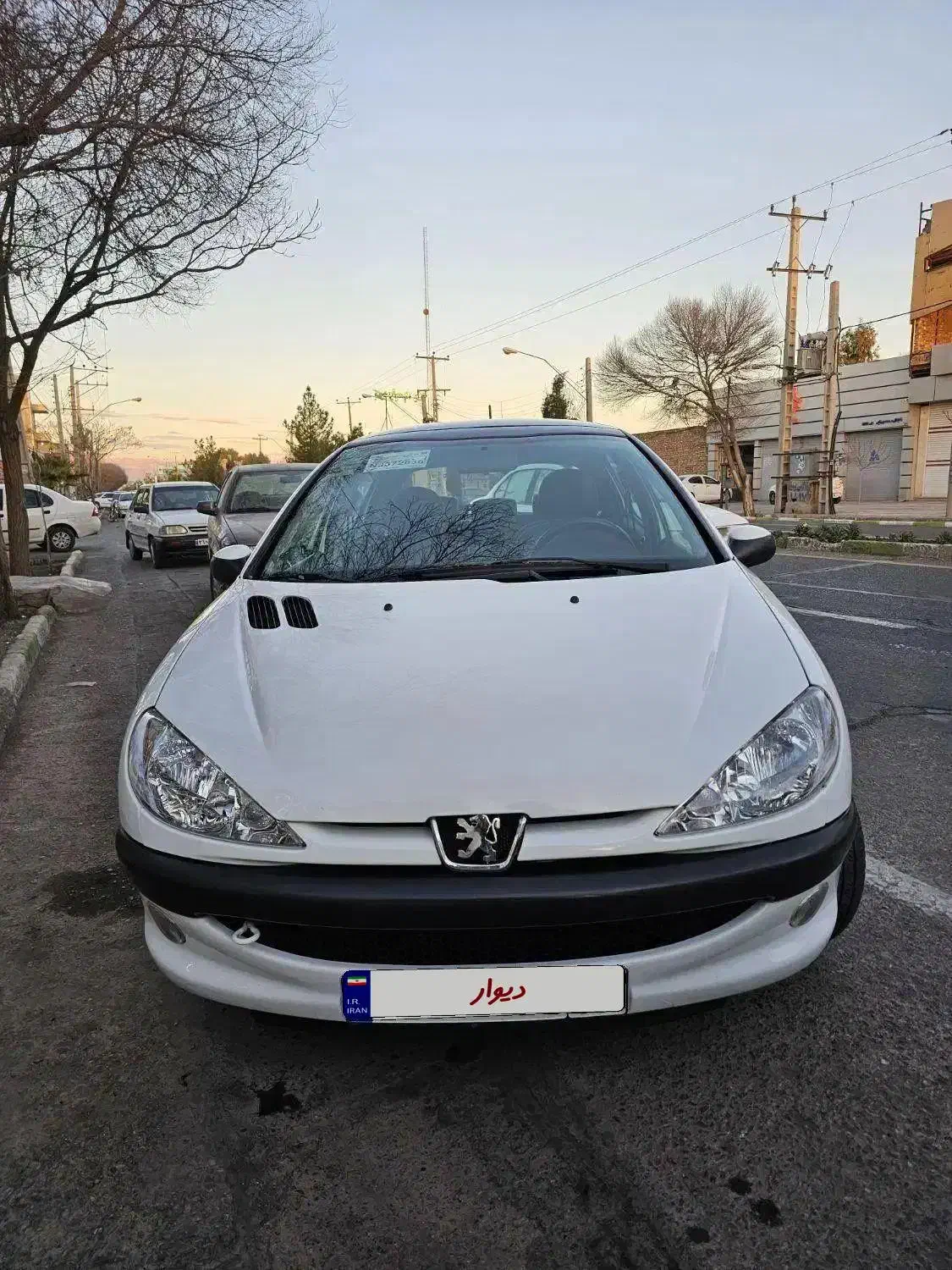 206 پانا در حد|خودرو سواری و وانت|رفسنجان, |دیوار