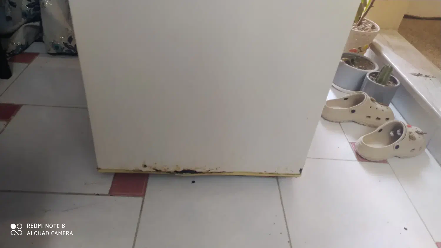 یخچال فریزر آزمایش|یخچال و فریزر|گرگان, |دیوار