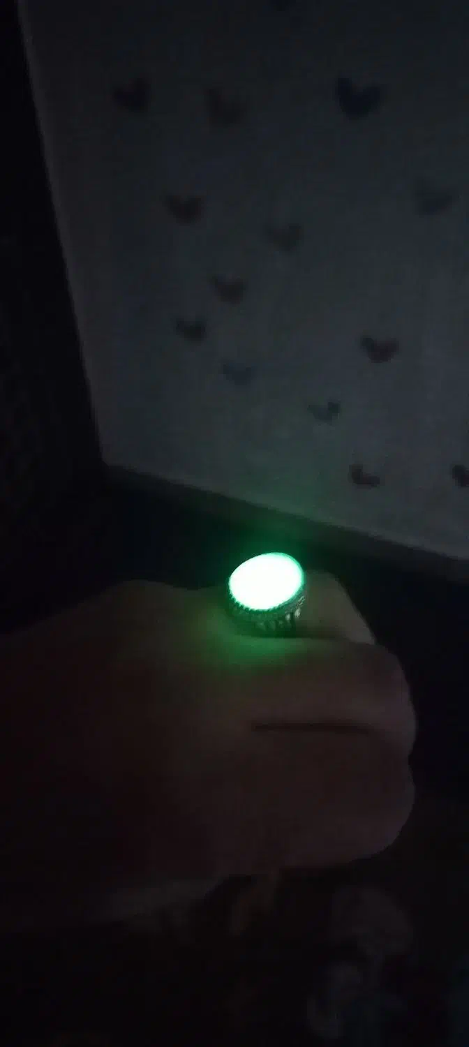 دو عد انگشتر نقره تاج فروهر یاقوت و شب چراغ|جواهرات|نسیم‌شهر, |دیوار