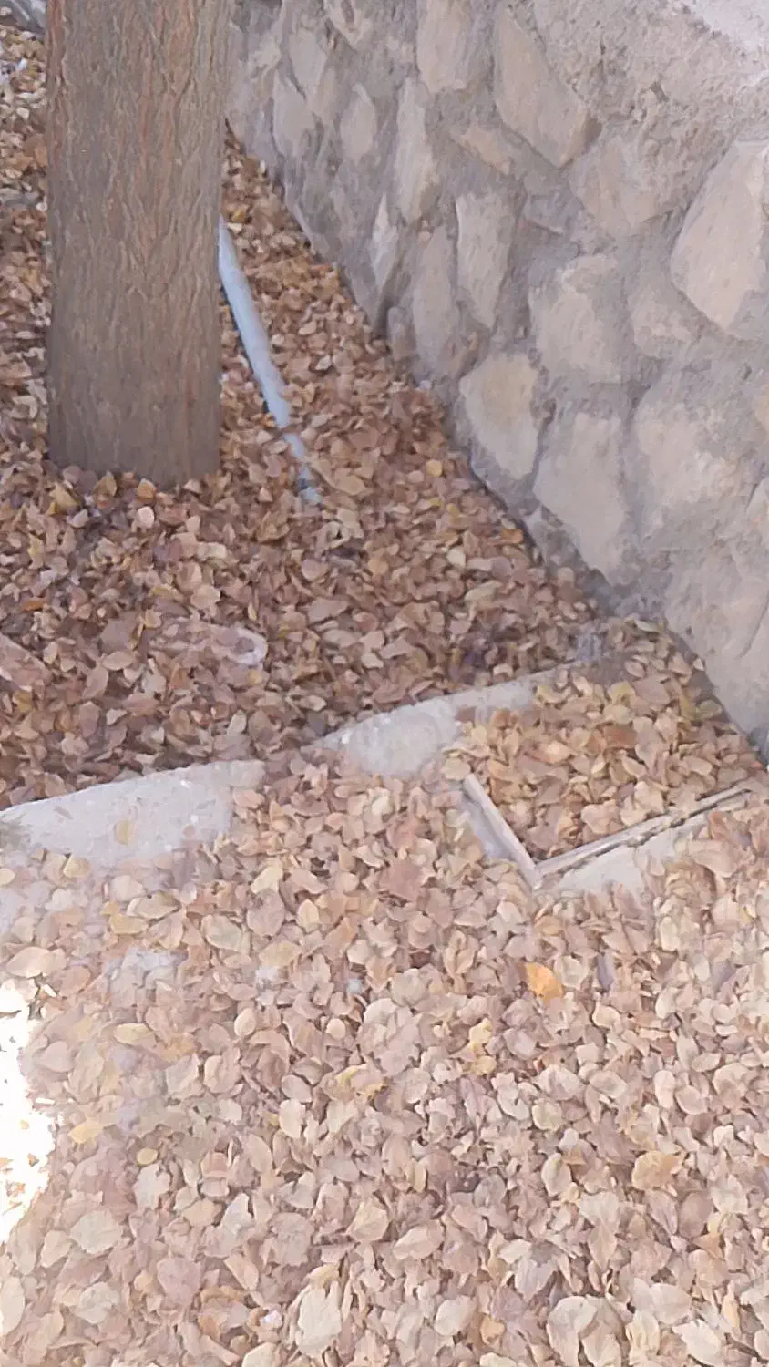 باغ پسته دوهکتاری|فروش دفتر صنعتی، کشاورزی، تجاری|طاغنکوه, |دیوار