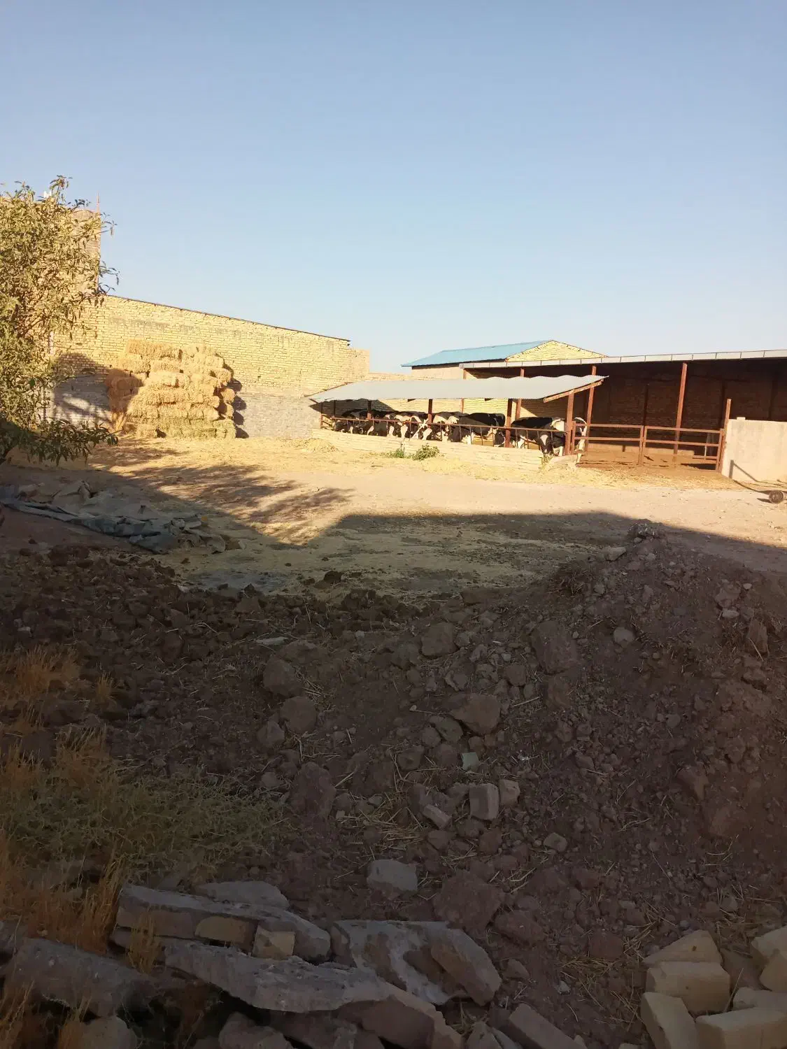 فروش یک واحد گاوداری|فروش دفتر صنعتی، کشاورزی، تجاری|دشتابی, |دیوار