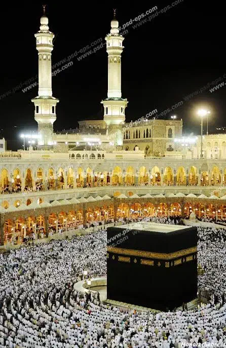 فروش فیش حج تمتع|تور و چارتر|تربت جام, زیباکنار|دیوار