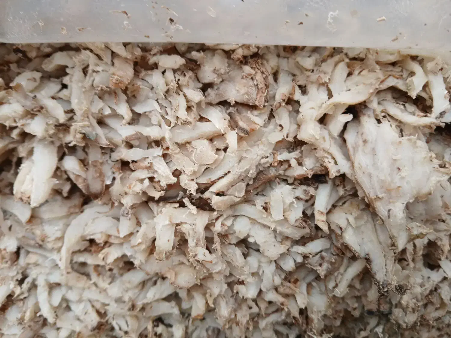 تفاله|لوازم جانبی حیوانات|نوشین شهر, |دیوار