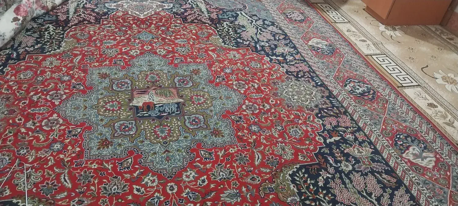 فرش ۱۲ متری|فرش|گنبد کاووس, |دیوار