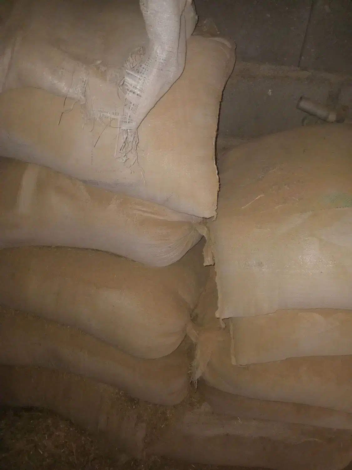 سبوس برنج برای گسفند گاو اسب وا حیوانات دیگر|حیوانات مزرعه|اسدآباد, |دیوار