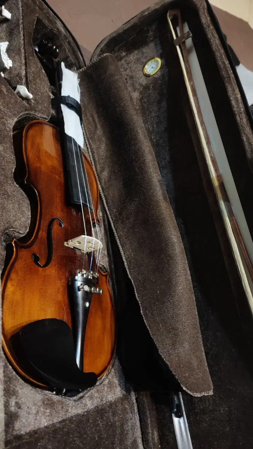 ویولن رناتو 220 4/4 درحدنو|ویولن|تهران, نظامآباد|دیوار