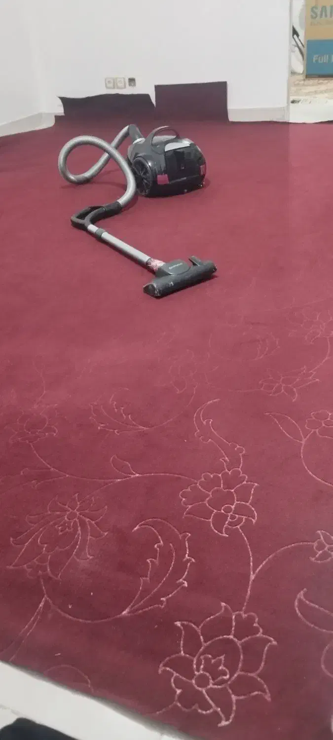 موکت|موکت|پیشوا, |دیوار