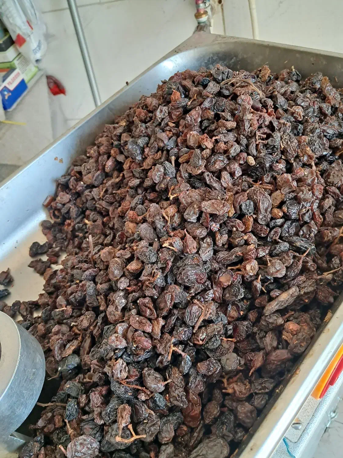 کشمش چرخ کرده|عمدهفروشی|لنگرود, |دیوار