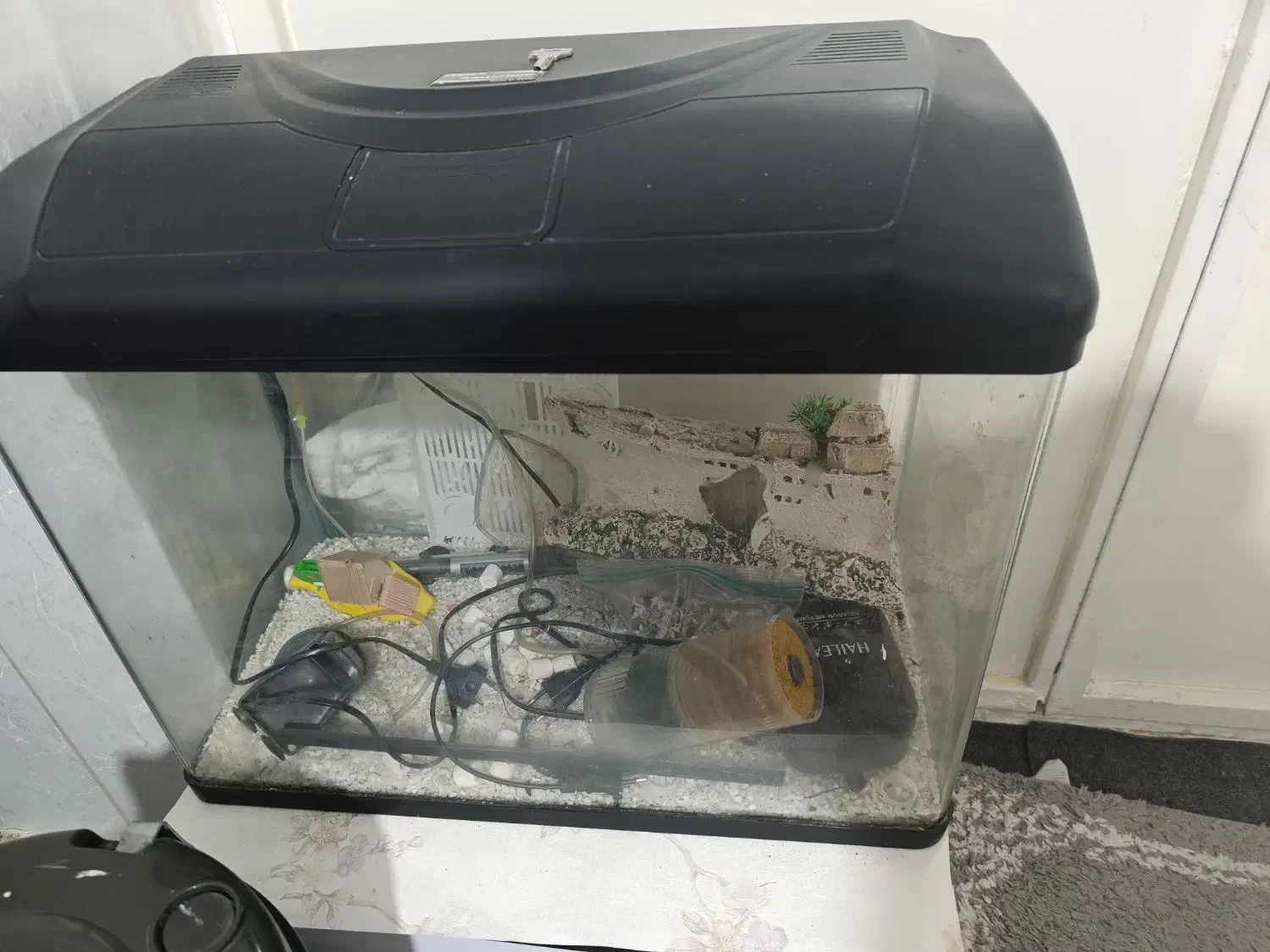 اکواریوم با تمام تجهیزات|ماهی|بندرعباس, |دیوار