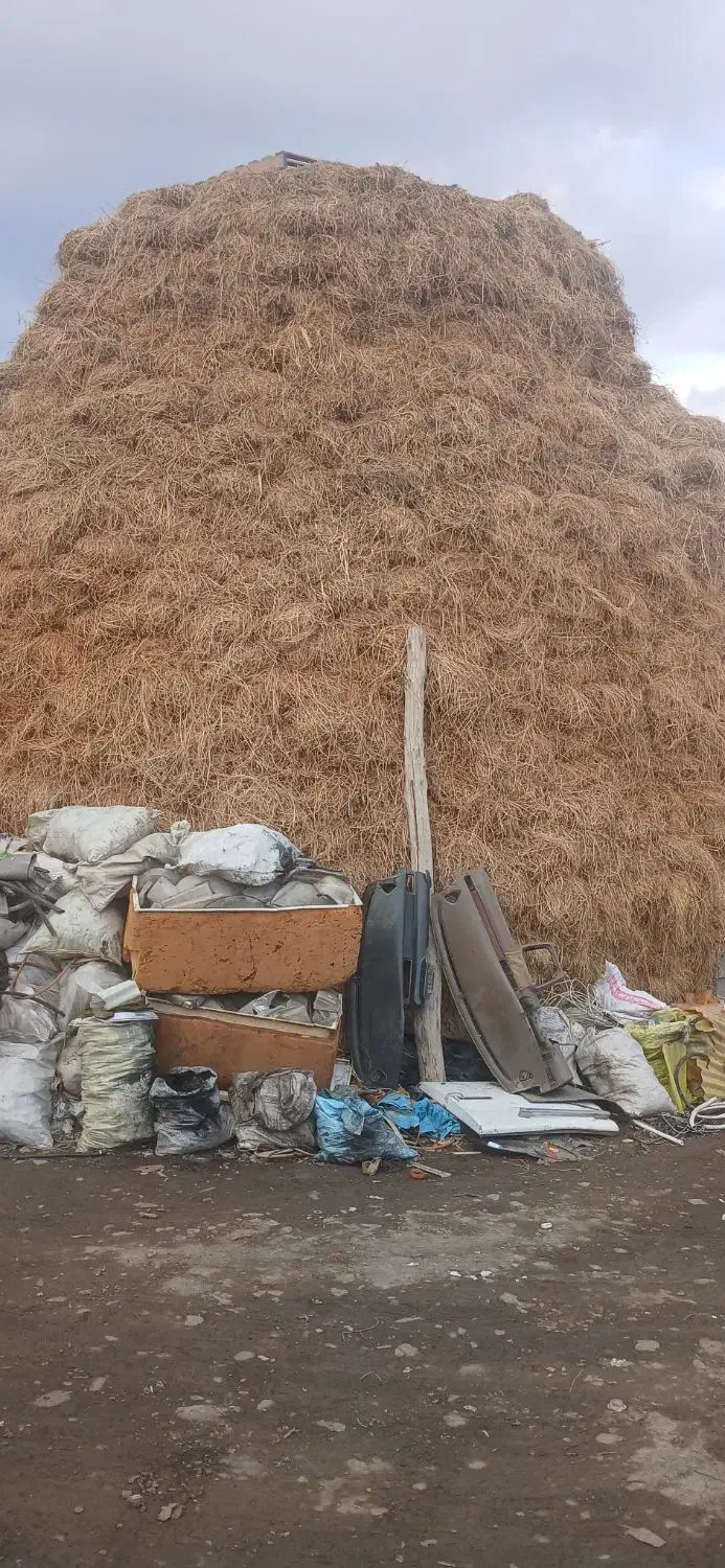 یونجه|لوازم جانبی حیوانات|خوی, |دیوار