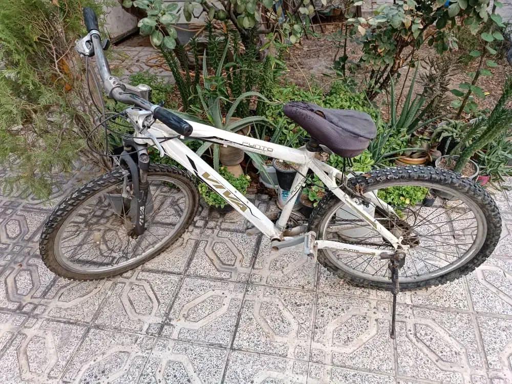 دوچرخه VIVA سایز ۲۶|دوچرخه، اسکیت، اسکوتر|ماهدشت, |دیوار