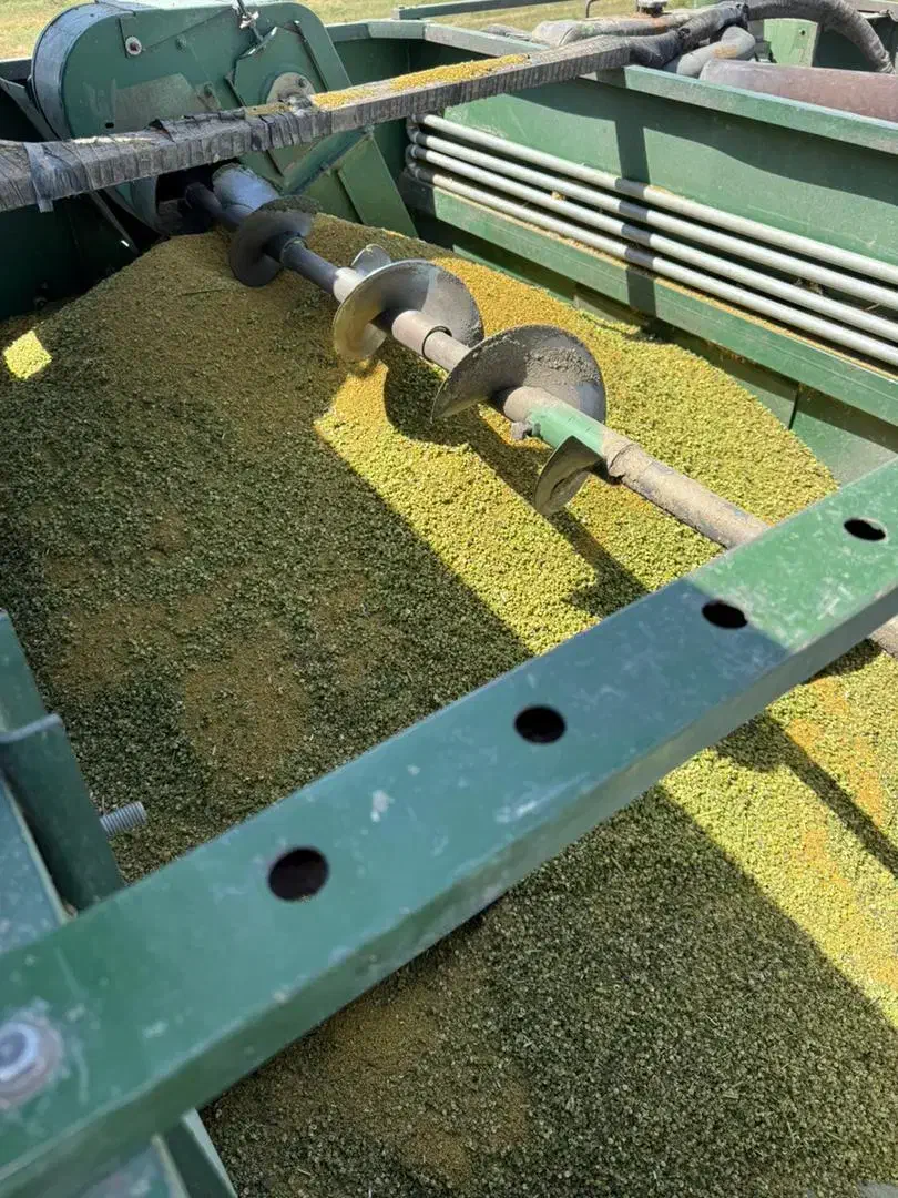 فروش بذر یونجه نیک شهری پایه بلند|عمده‌فروشی|بهبهان, |دیوار