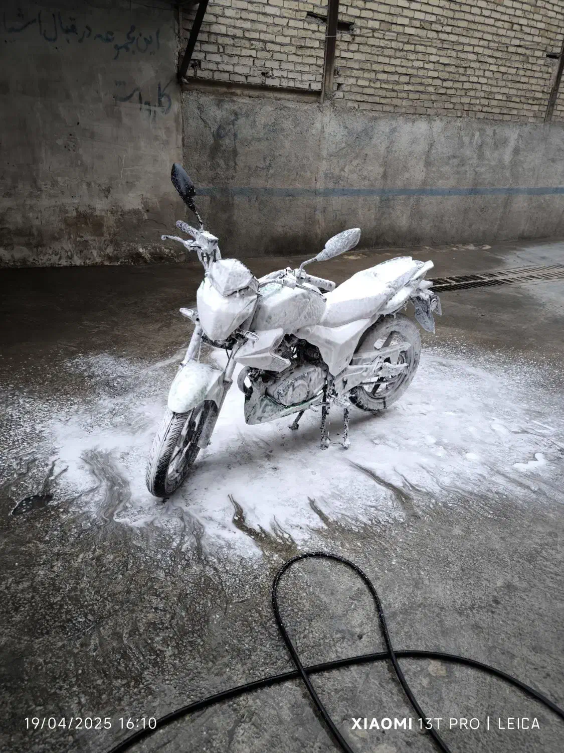 موتور 1402 بنلی 150 نو|موتورسیکلت|مشهد, همت آباد|دیوار