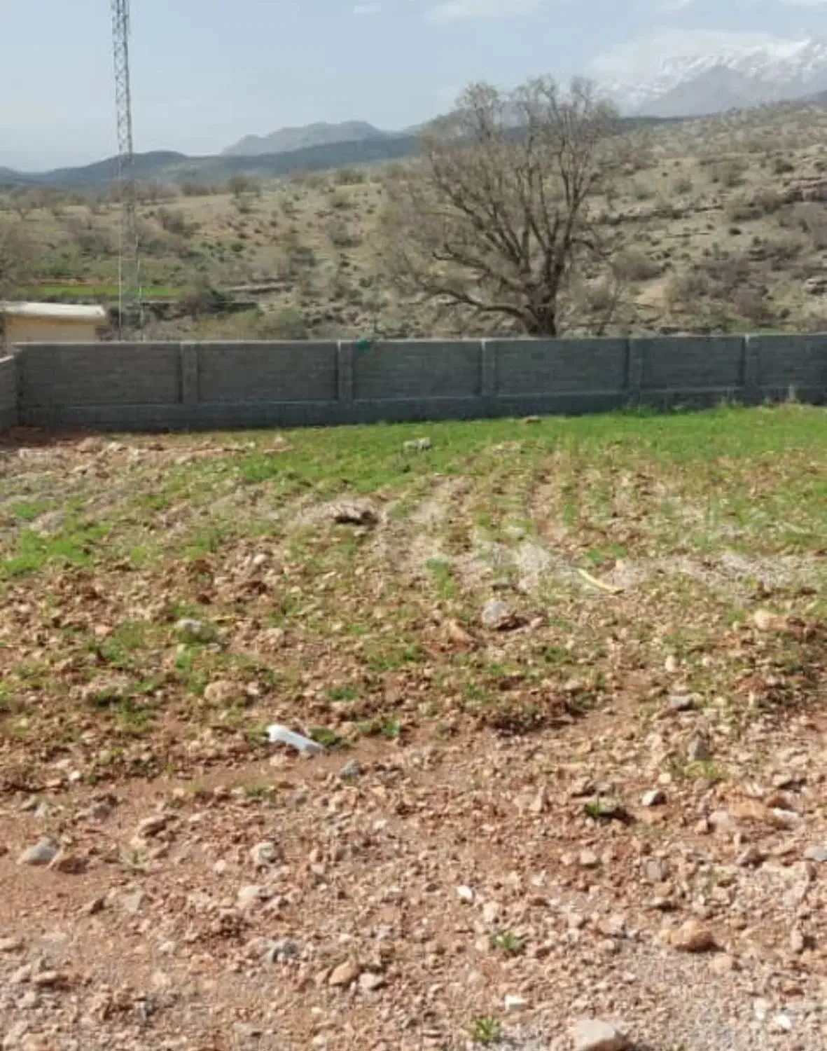 ۸۰۰ متر تنگ سریز ،پروانه دار|فروش زمین و ملک کلنگی|یاسوج, |دیوار