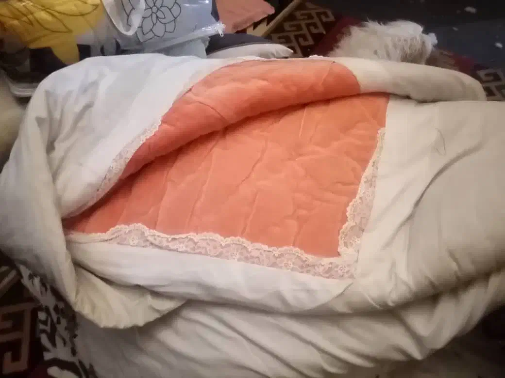 فوری فوری قیمت خیلی مناسب|رختخواب، بالش، پتو|تهران, شهرک آزمایش|دیوار