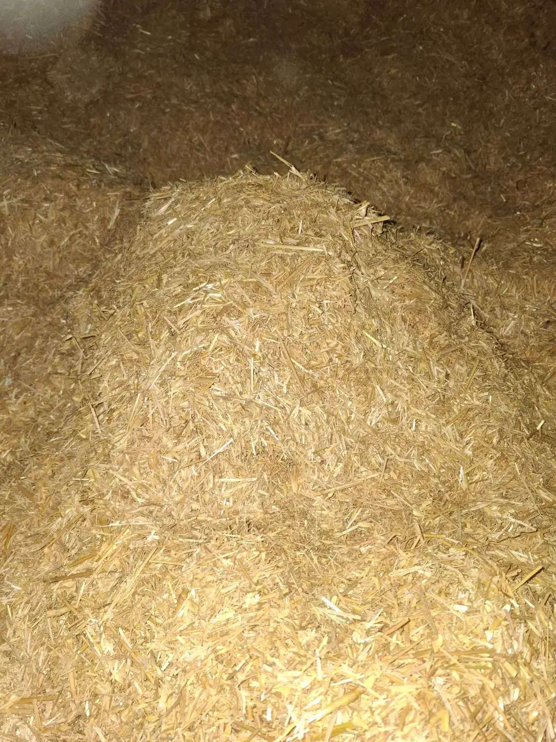 کاه گندم|لوازم جانبی حیوانات|بیله سوار, |دیوار