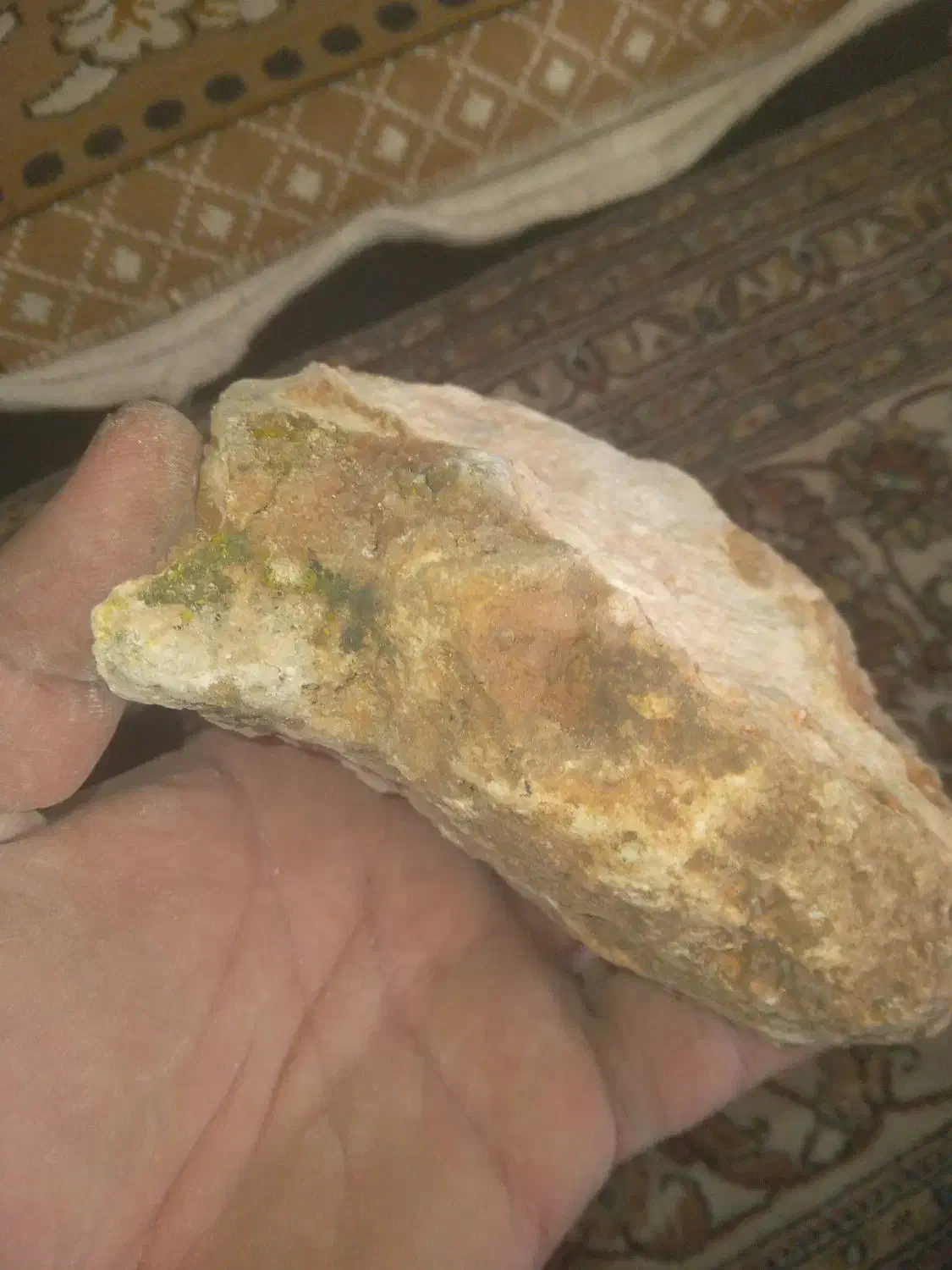 سنگ فسیل ماهی وصدف ماهی ۲۰۰۰ساله|کلکسیون اشیاء عتیقه|دلبران, |دیوار