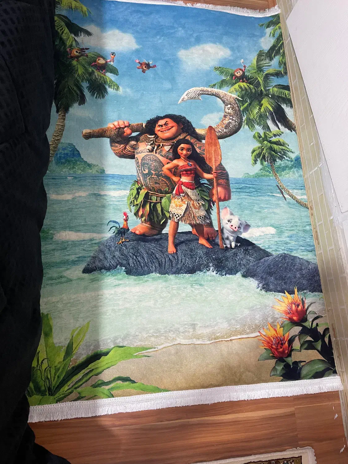 فرش نو نو|فرش|میانه, |دیوار