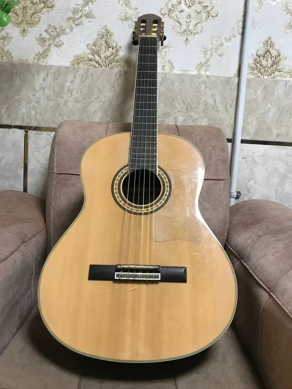 گیتار سانتانا|گیتار، بیس، امپلیفایر|زاهدان, |دیوار