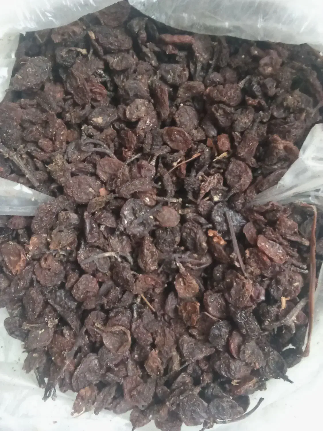 کشمش قوچان|خوردنی و آشامیدنی|مشهد, آزادشهر|دیوار