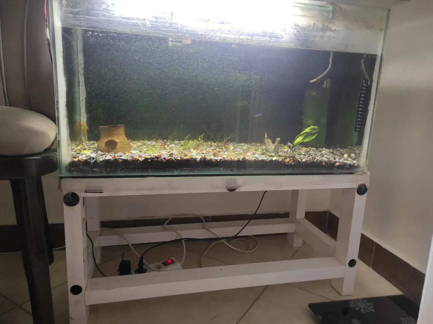 فروش فوری اکواریوم با امکانات|ماهی|رشت, نخودچر|دیوار