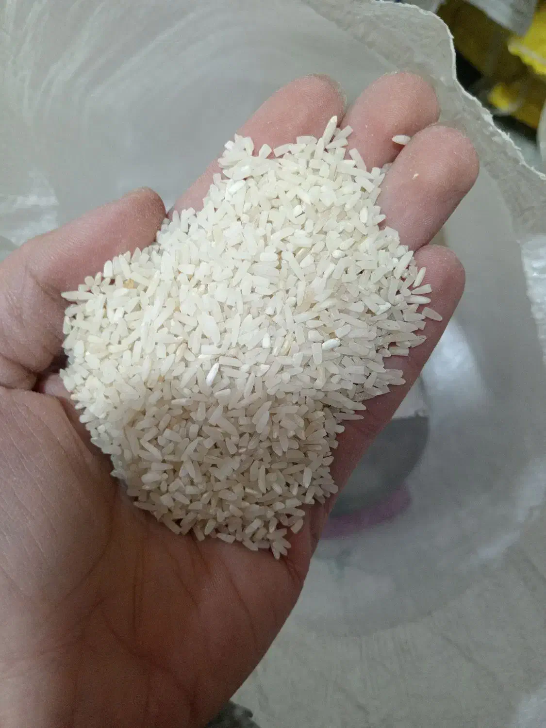 برنج درجه یک عنبربو جنوب عطری باب منزل|حراج|قم, نیروگاه|دیوار