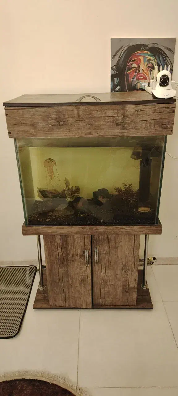 آکواریم|لوازم جانبی حیوانات|تهران, نارمک جنوبی|دیوار