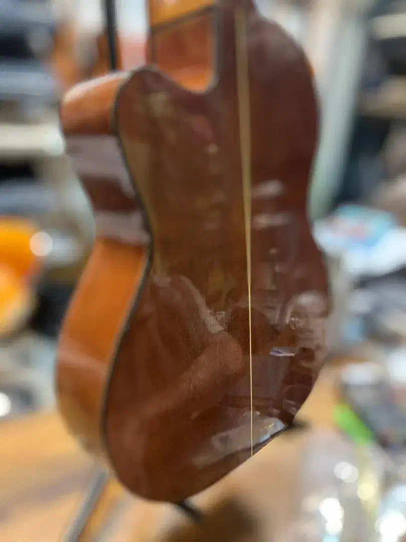 گیتار paochia|گیتار، بیس، امپلیفایر|پردیس, فاز ۳|دیوار