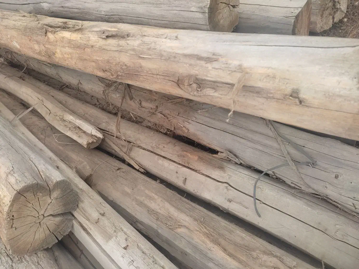 خریدار چوب|خدمات باغبانی و درختکاری|سراب, |دیوار