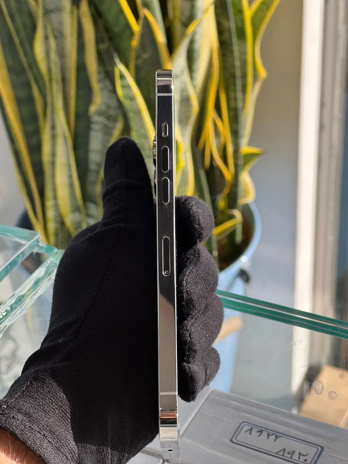 اپل iPhone 12 Pro Max رنگ سفید|موبایل|یزد, |دیوار