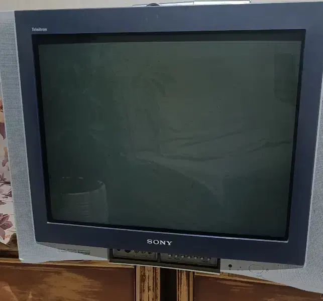 تلویزیون|تلویزیون و پروژکتور|رشت, خمیران زاهدان|دیوار