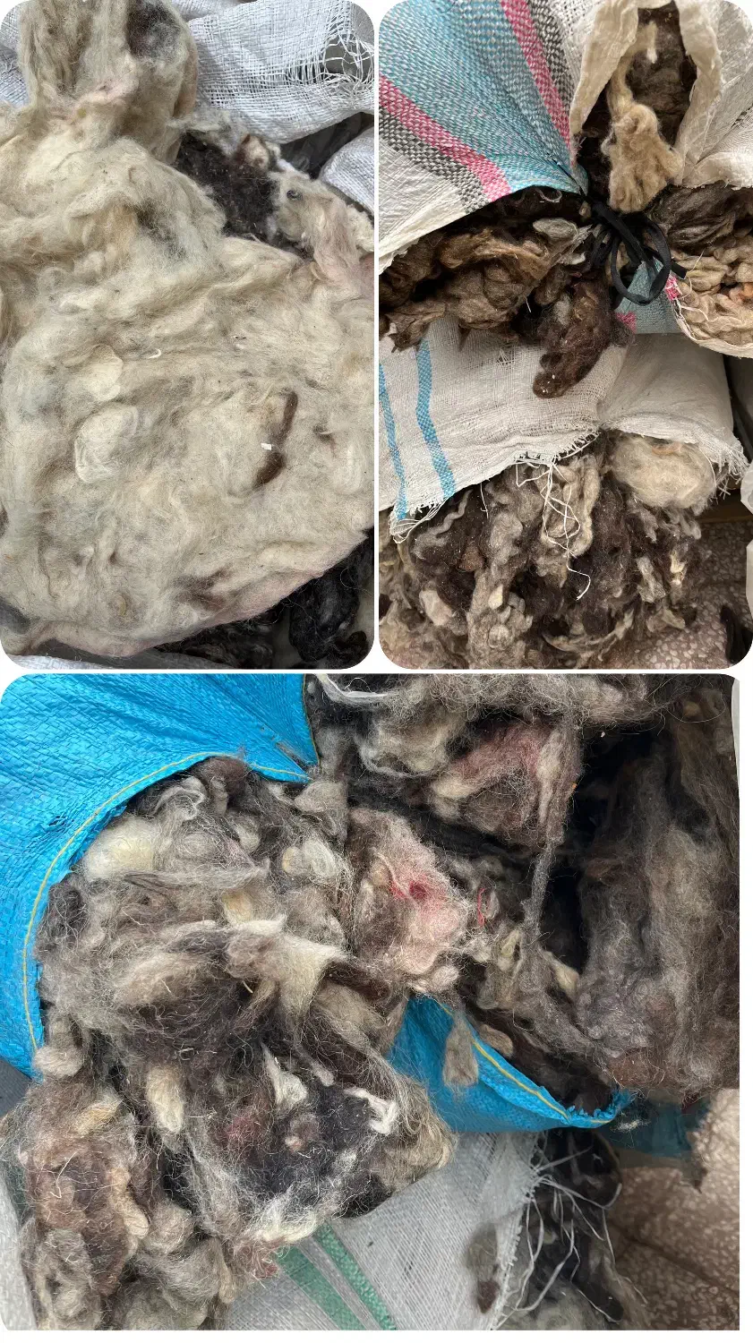 پشم گوسفند|رختخواب، بالش، پتو|قم, شهرک امام حسین|دیوار