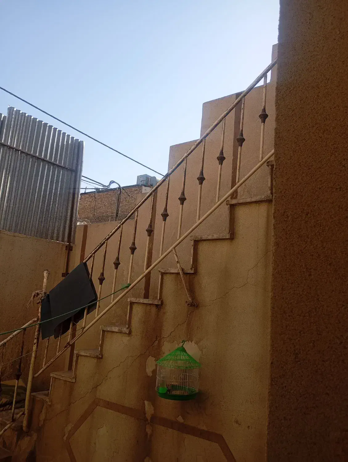 قفس فروشی|لوازم جانبی حیوانات|رضویه, |دیوار