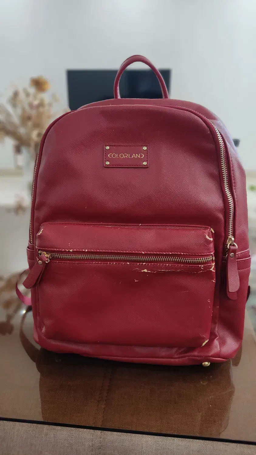 کوله پشتی کاملا سالم|کیف، کفش، کمربند|رشت, باهنر|دیوار