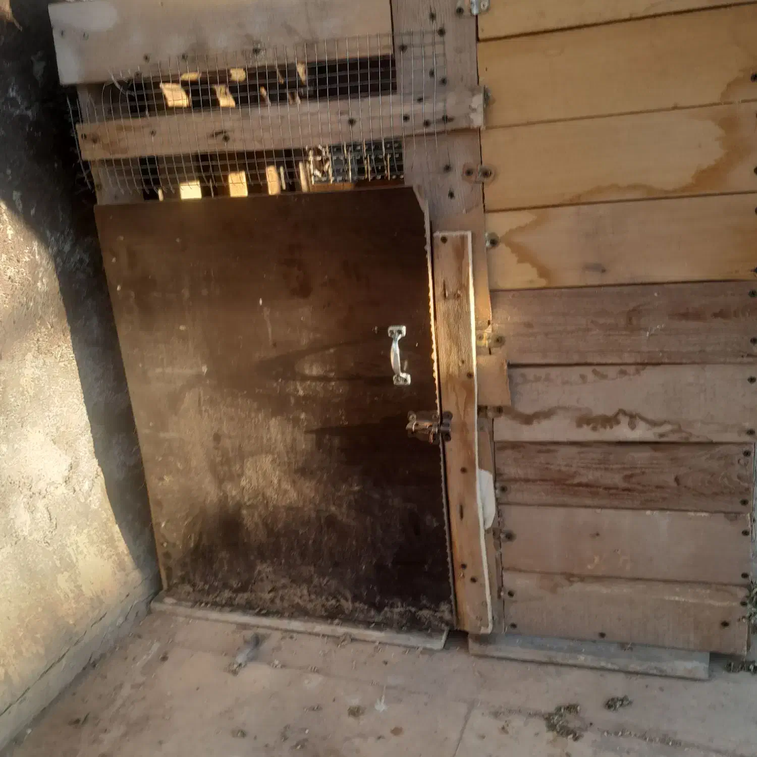 قفس|لوازم جانبی حیوانات|شیراز, گویم|دیوار