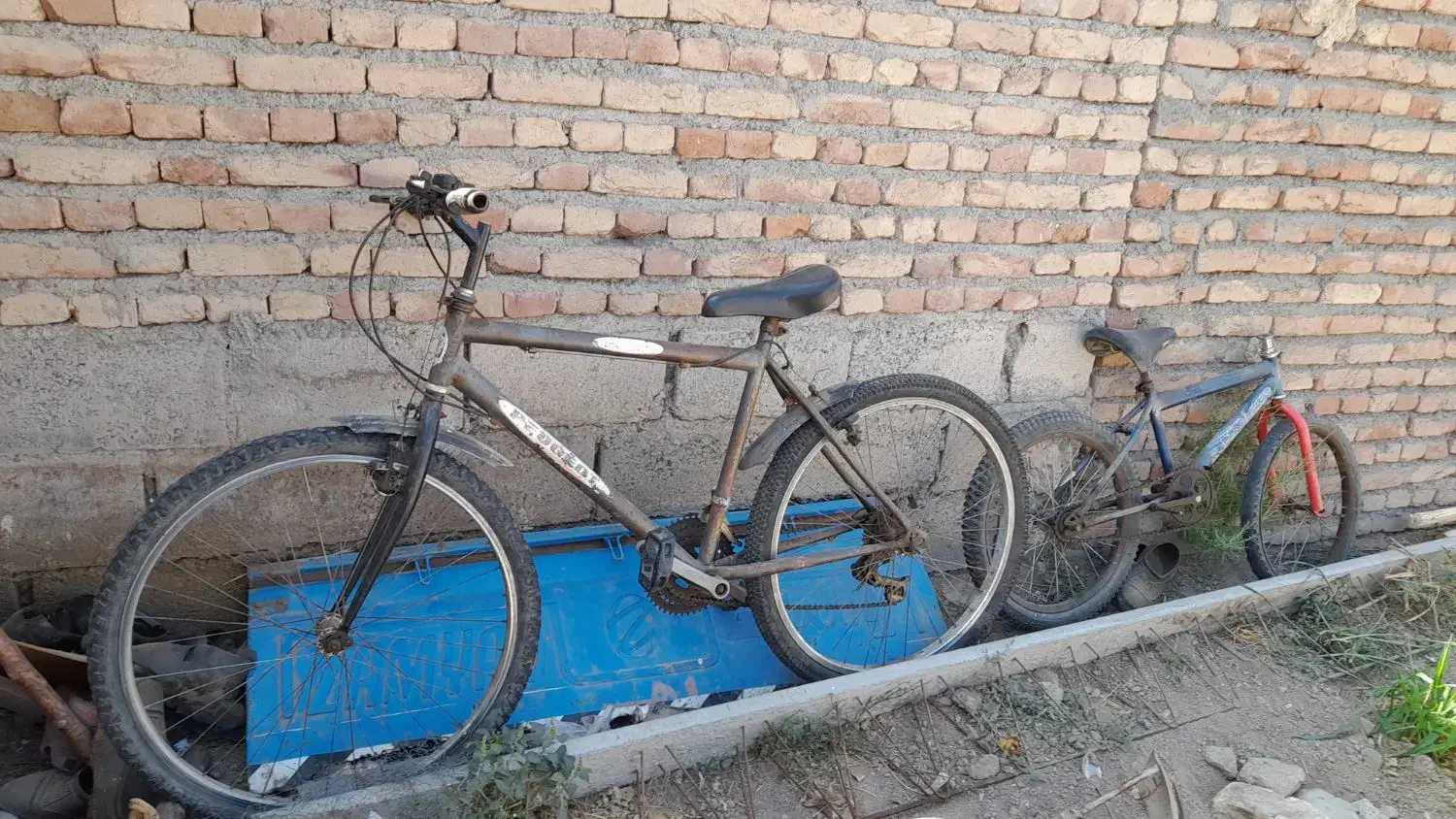میخوام این سه تا چرخ رو بفروشم پول احتیاج دارم|دوچرخه، اسکیت، اسکوتر|اهر, |دیوار