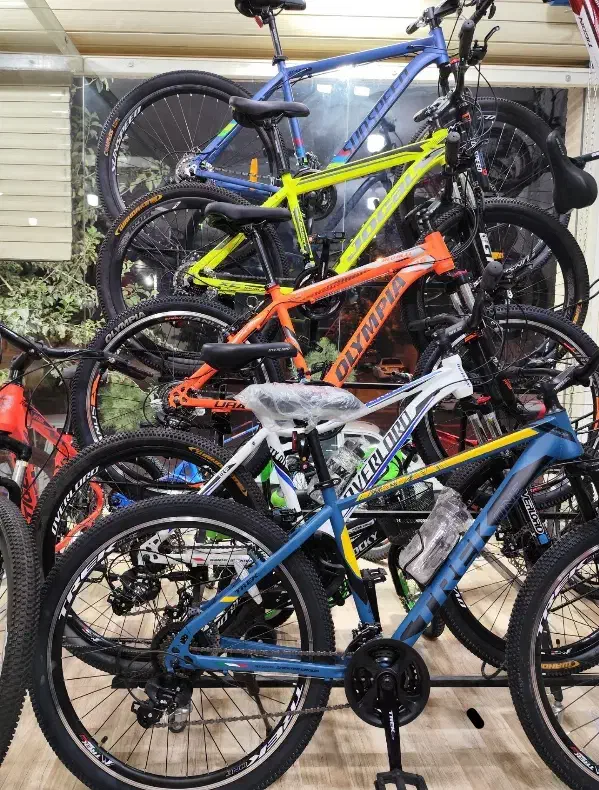 دوچرخه کمکدار /سایز۲۴/اقساط /امپراطورپرداخت درمحل|دوچرخه، اسکیت، اسکوتر|زرند, |دیوار