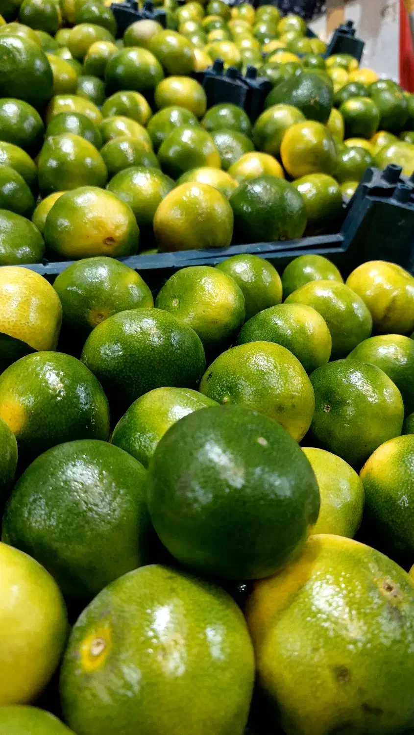 نارنگی تازه و خوشمزه + هایپر میوه گلچین|خوردنی و آشامیدنی|شاهدشهر, |دیوار