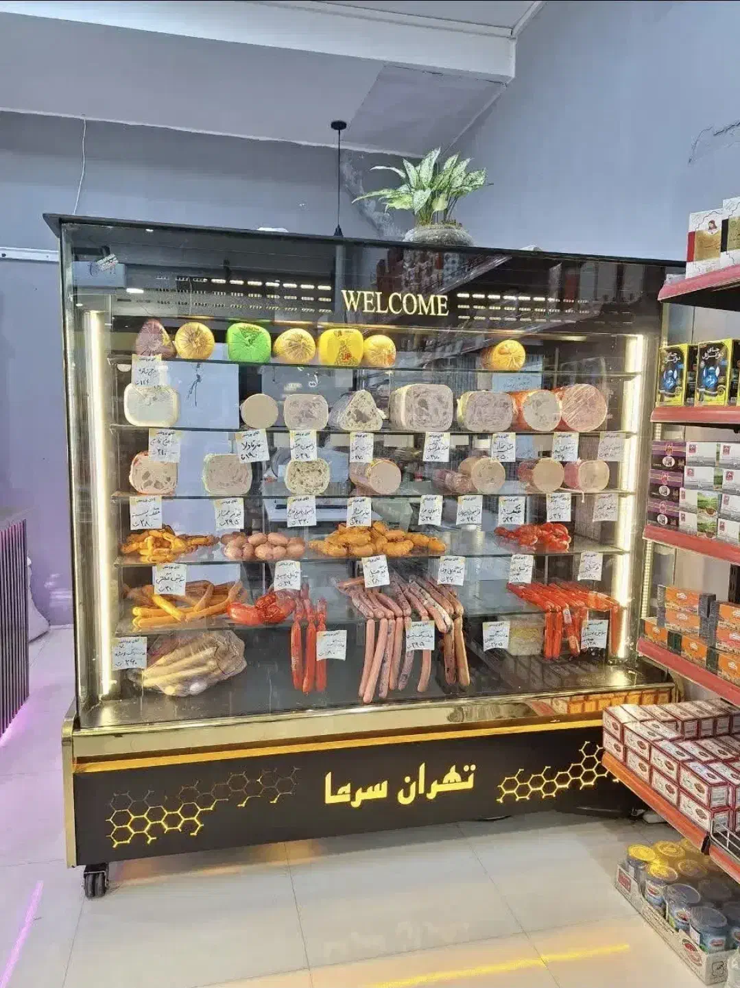 یخچال مخصوص پروتئینی ویترینی|فروشگاه و مغازه|مشهد, فدک|دیوار