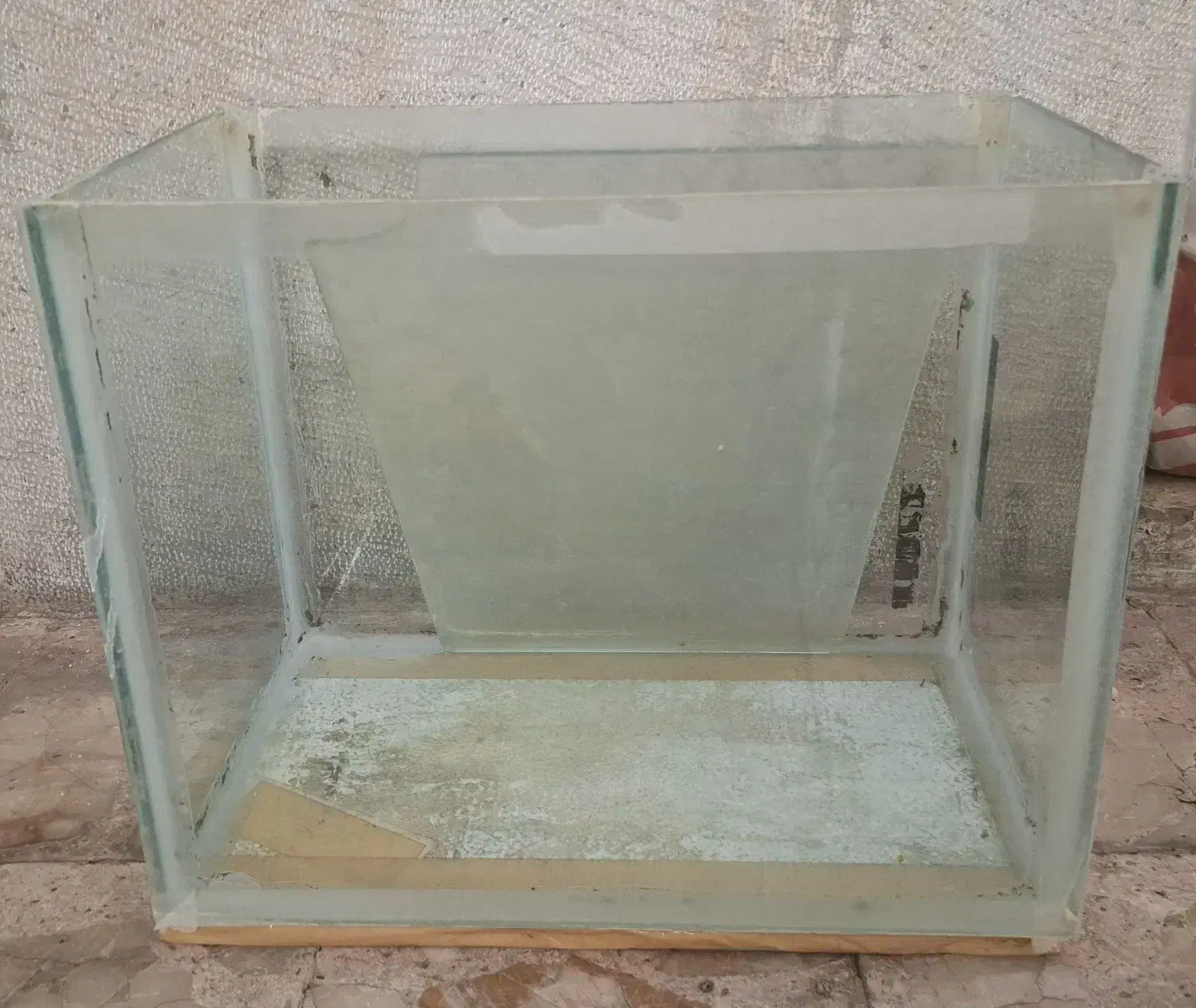 آکواریم|ماهی|دزفول, |دیوار